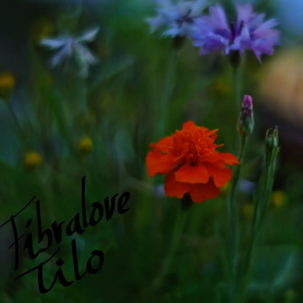 Mejor Irnos Ya No Me Gustan las Despedidas