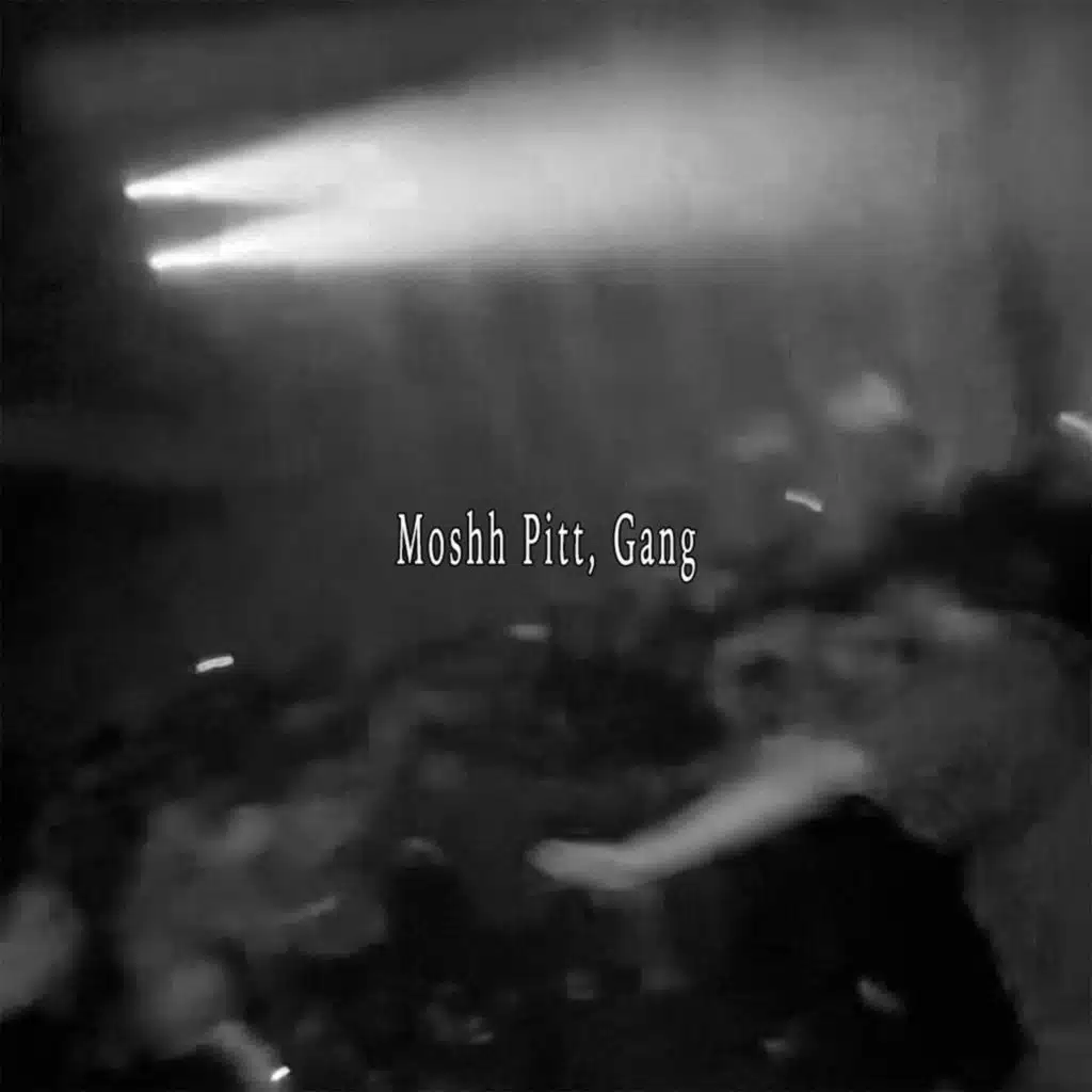 Moshh Pitt, Gang