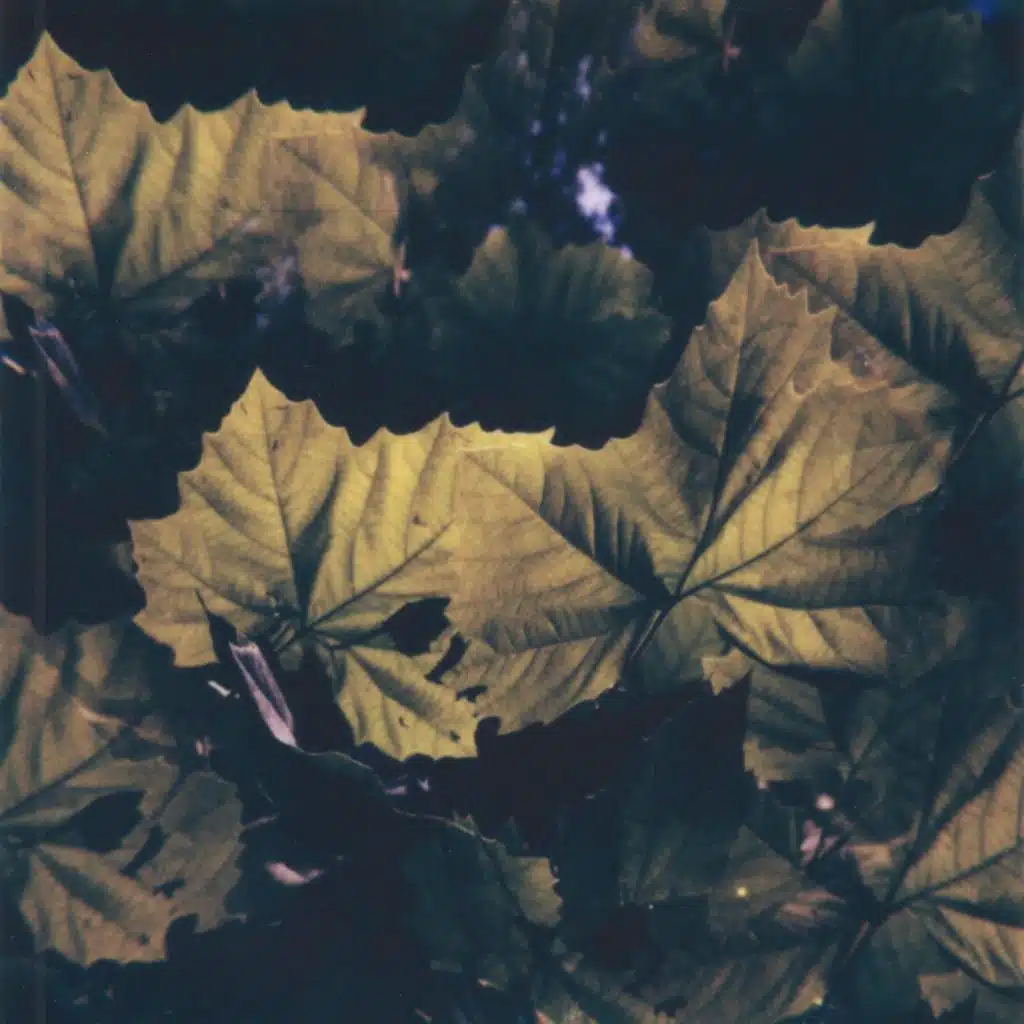 Pluvial Scansion - guest mix by Benoît Pioulard