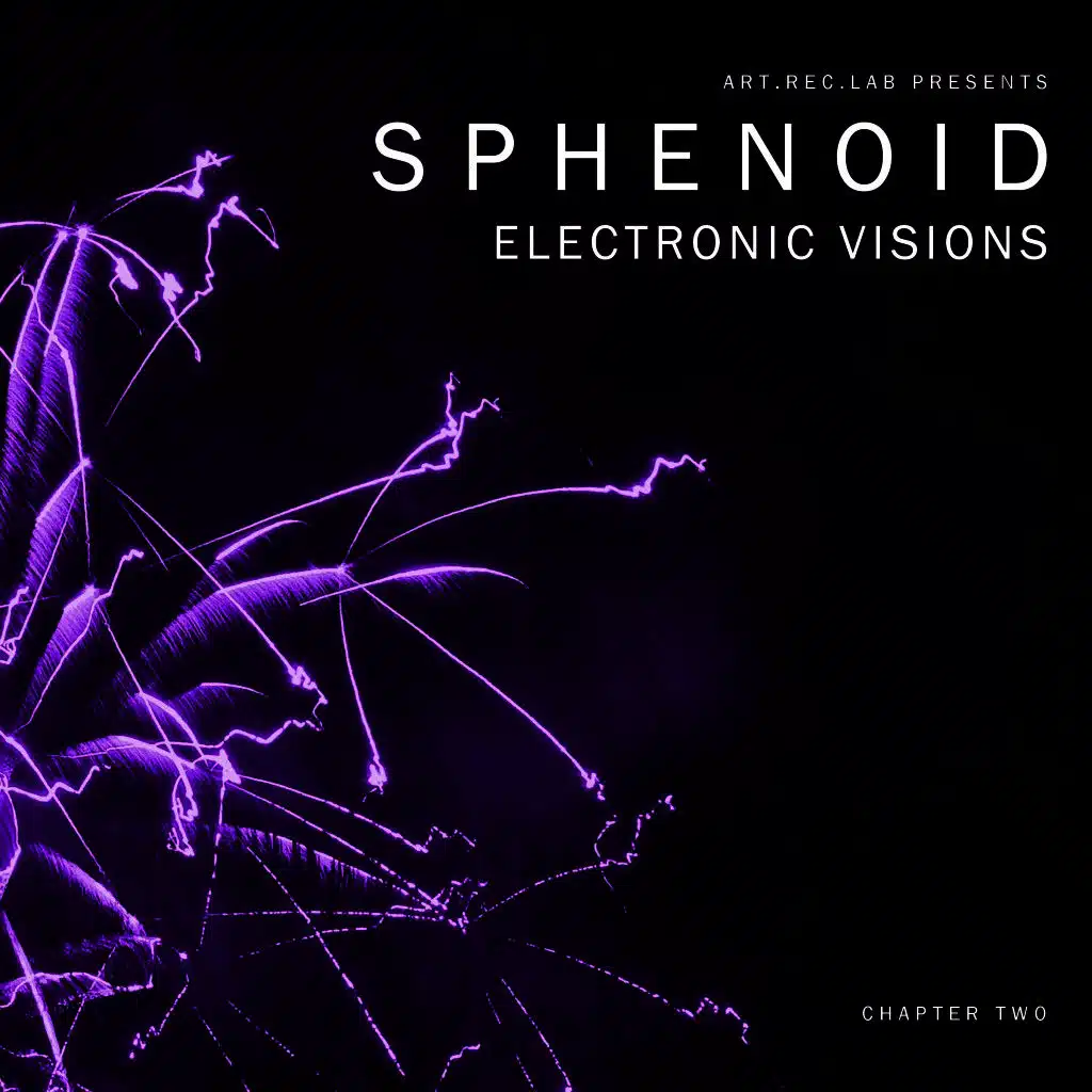 Electronic Visions Chapter Two