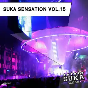 Suka Sensation, Vol. 15