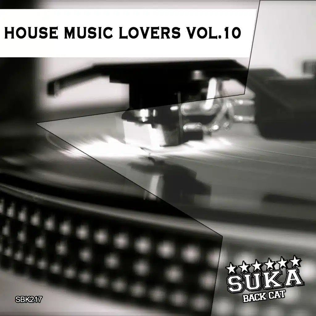 House Music Lovers, Vol. 10