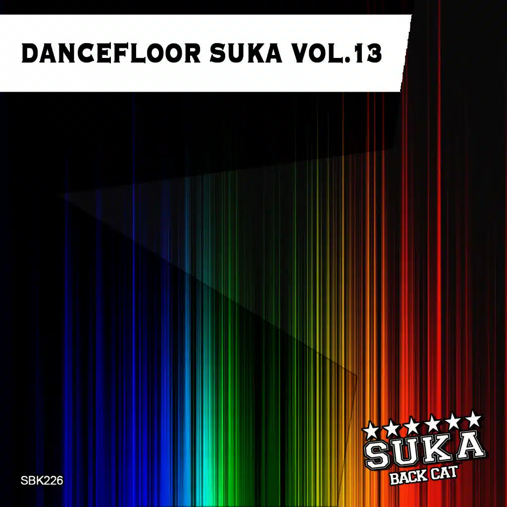 Dancefloor Suka, Vol. 13