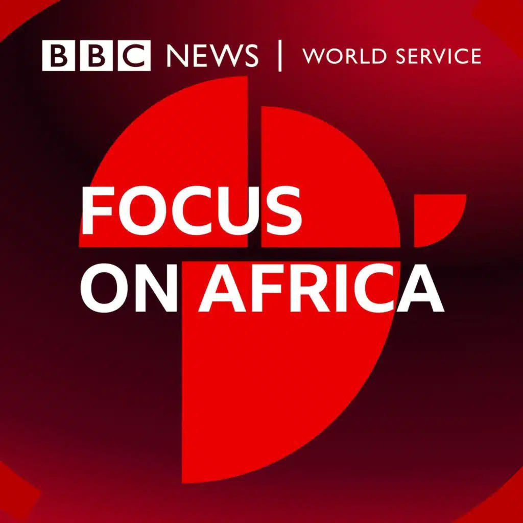 What is fuelling Angola's fuel protests?