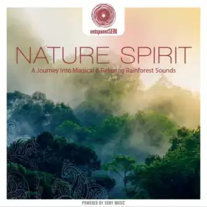 entspanntSEIN - Nature Spirit (A Journey Into Magical & Relaxing Rainforest Sounds)