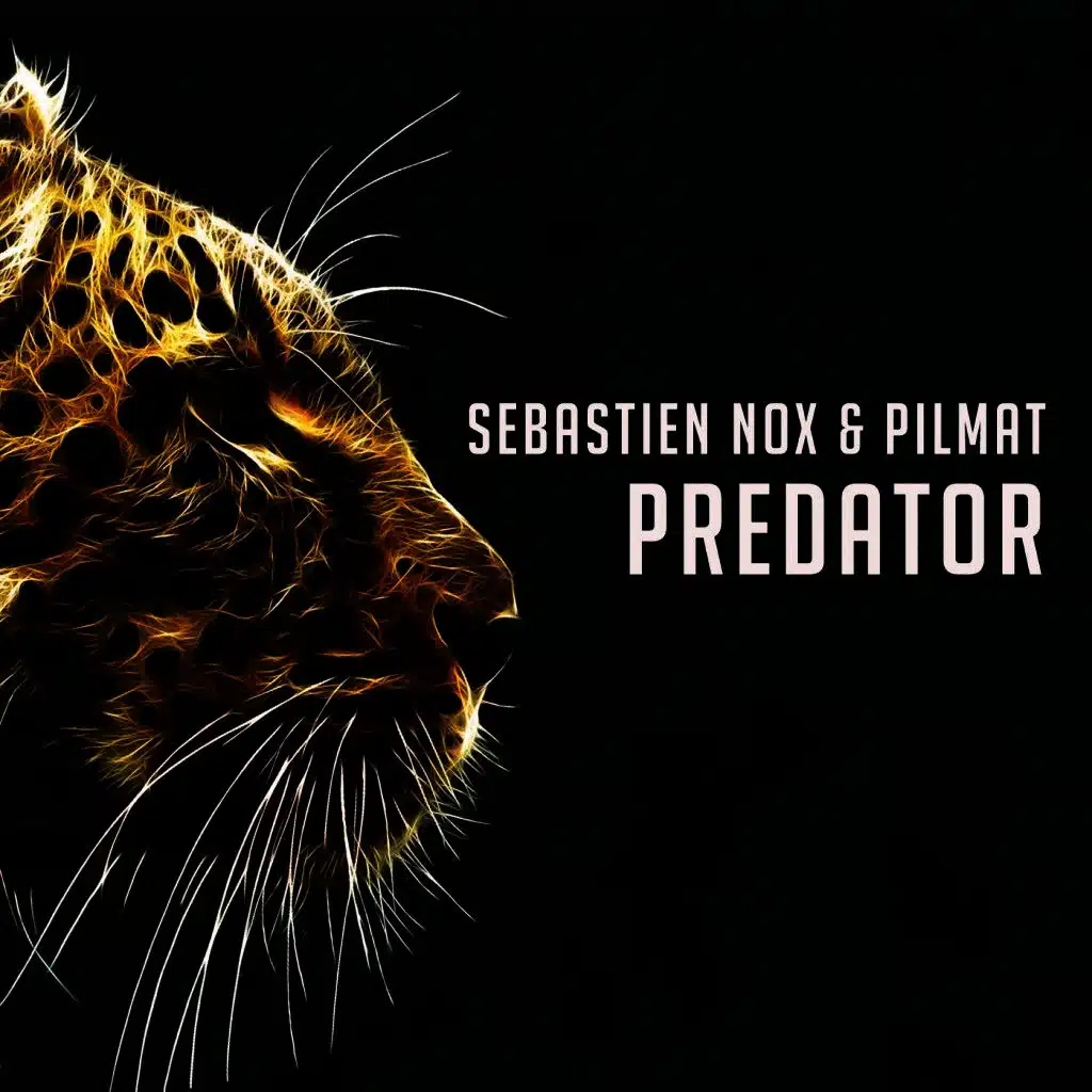 Sebastien Nox & Pilmat