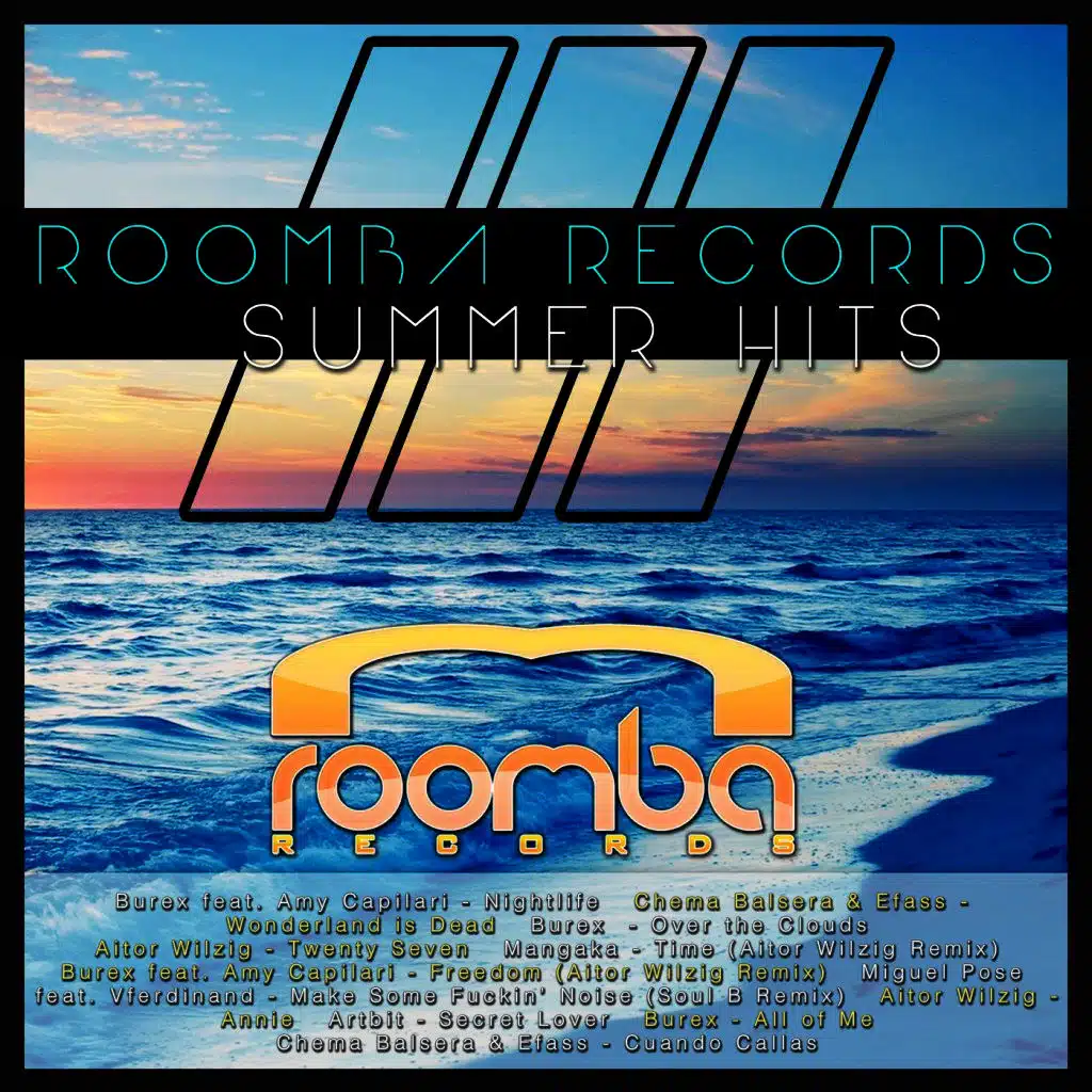 Roomba Records Summer Hits