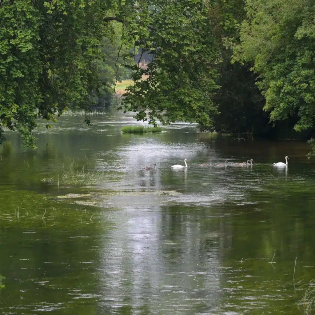 Why rivers need human rights