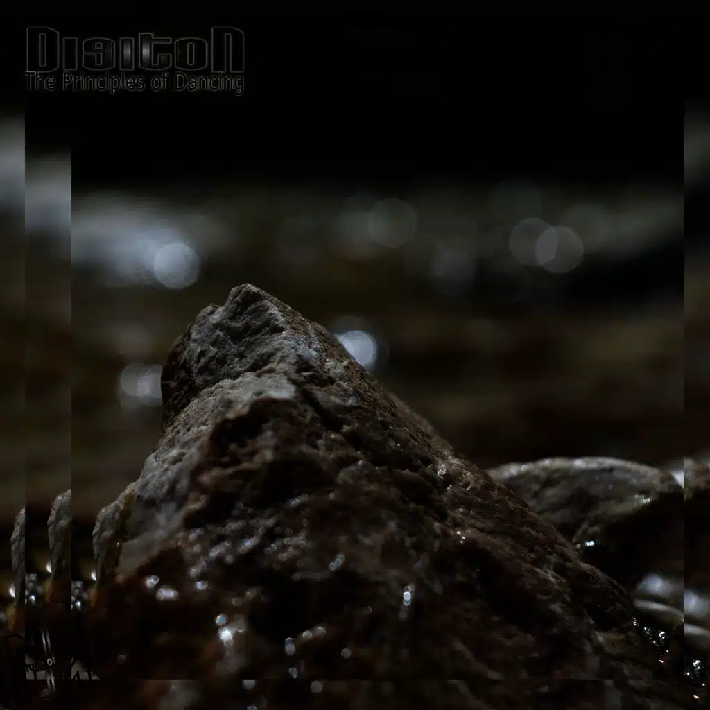 The Principles of Dancing