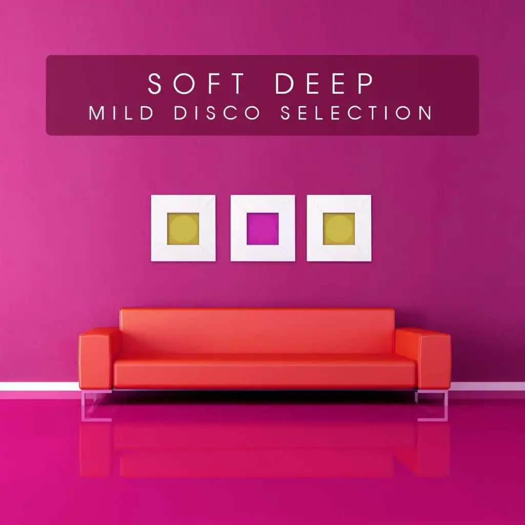 Soft Deep (Mild Disco Selection)