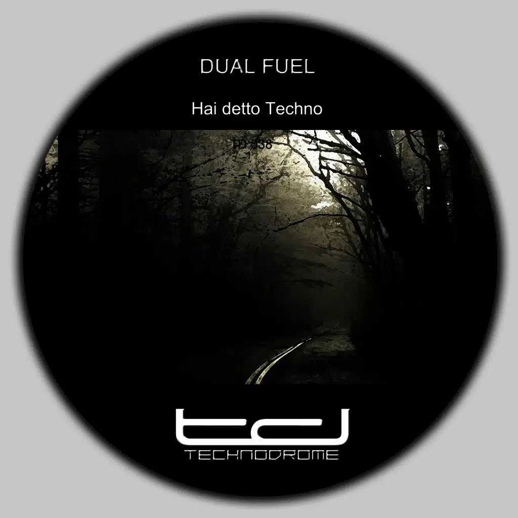 Hai detto techno