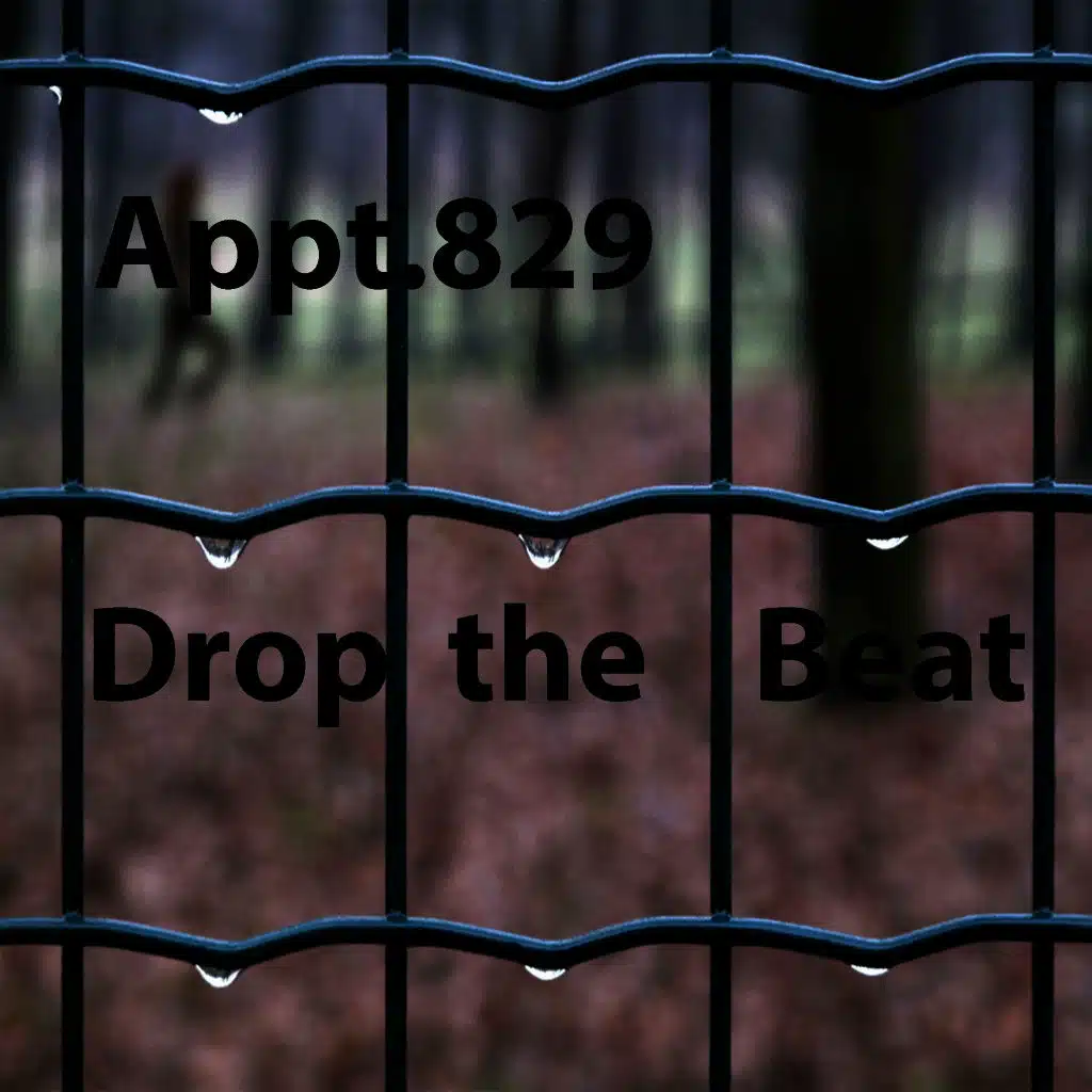 Drop the Beat