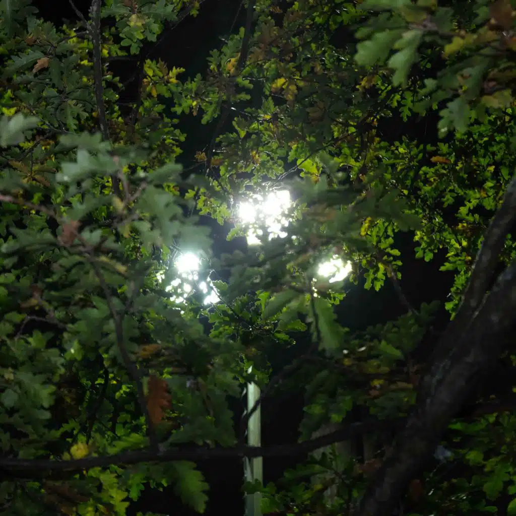 Haven't Touched The Earth In A While (Samuel Organ Remix)