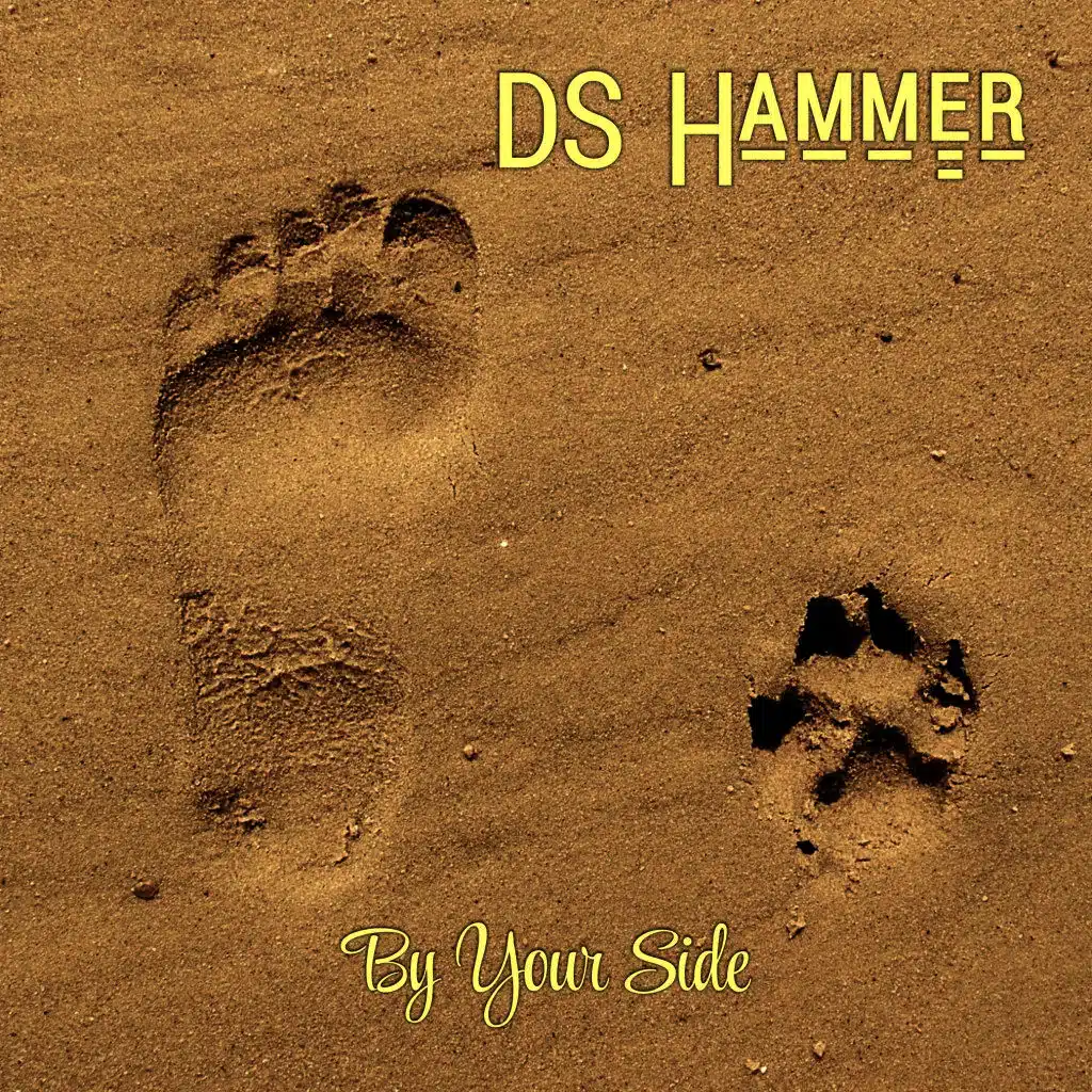 DS Hammer