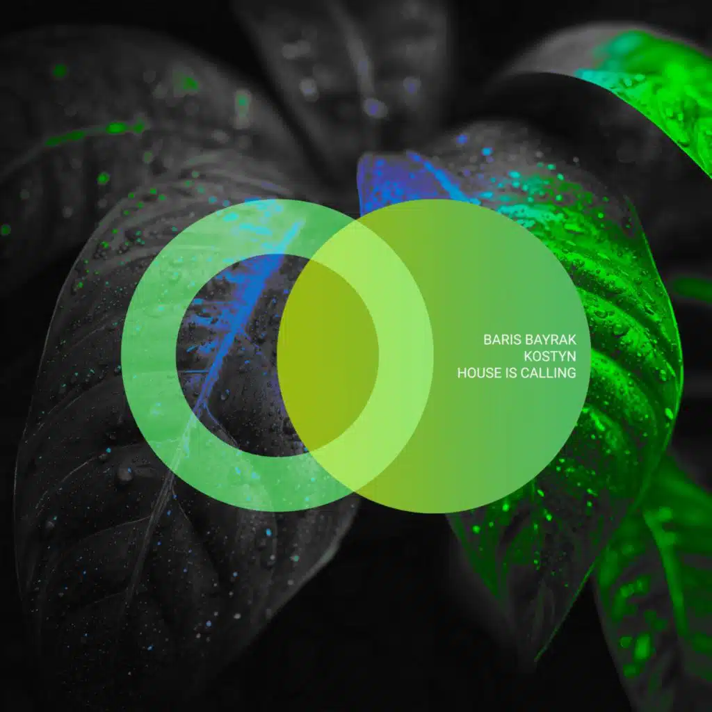 Baris Bayrak & Kostyn