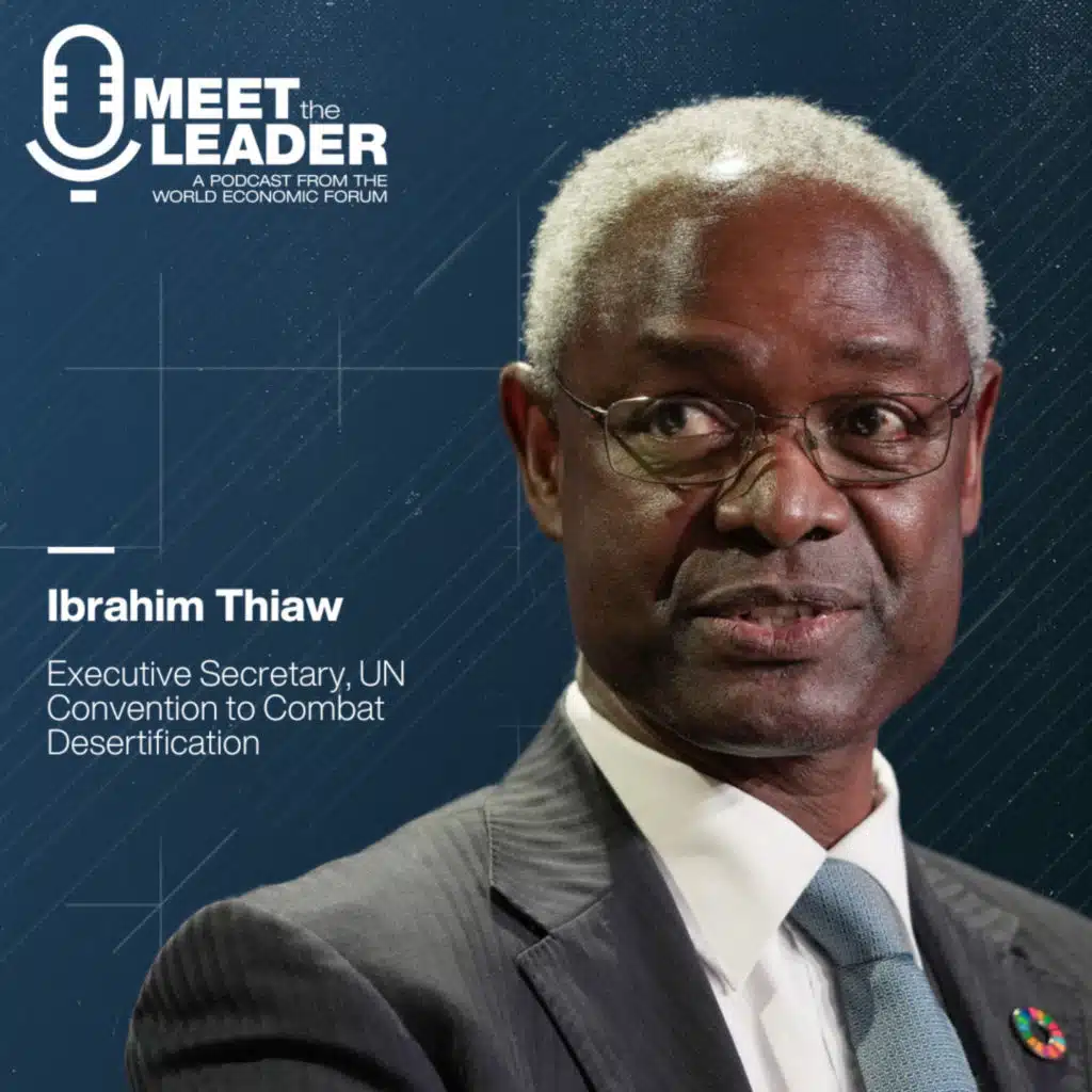 50% of world GDP depends on nature. What's needed to restore land and protect economies: UNCCD's Ibrahim Thiaw