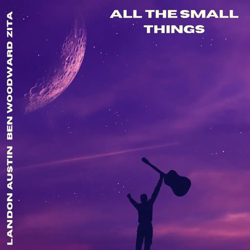 All The Small Things (feat. Landon Austin & Ben Woodward)