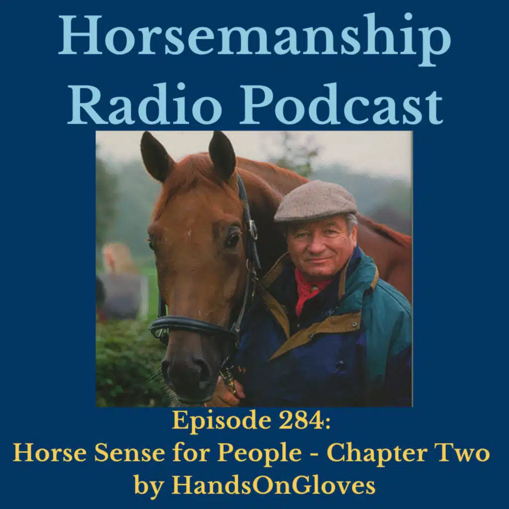 284: Horse Sense for People - Chapter Two by HandsonGloves