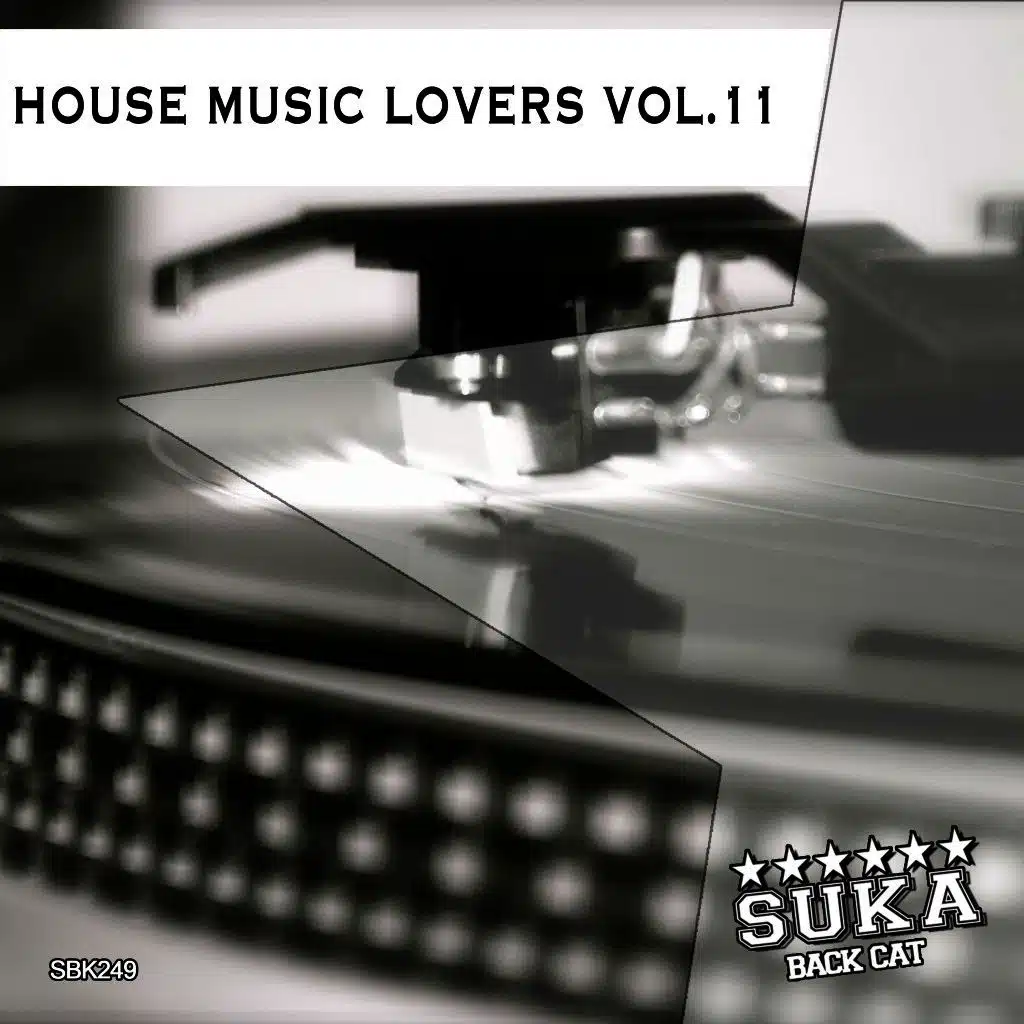 House Music Lovers, Vol. 11