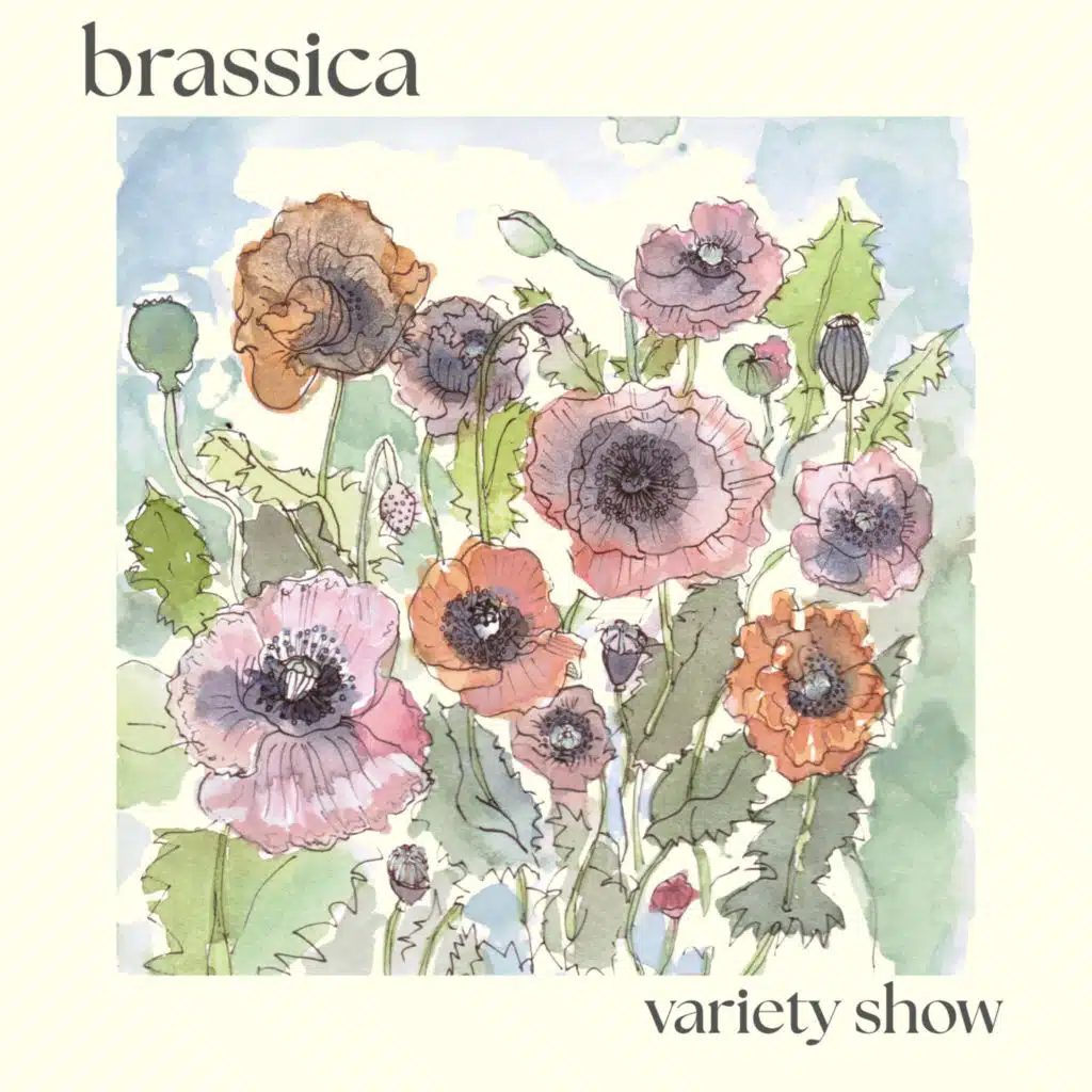 Brassica
