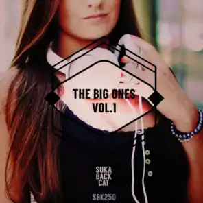 The Big Ones, Vol. 1