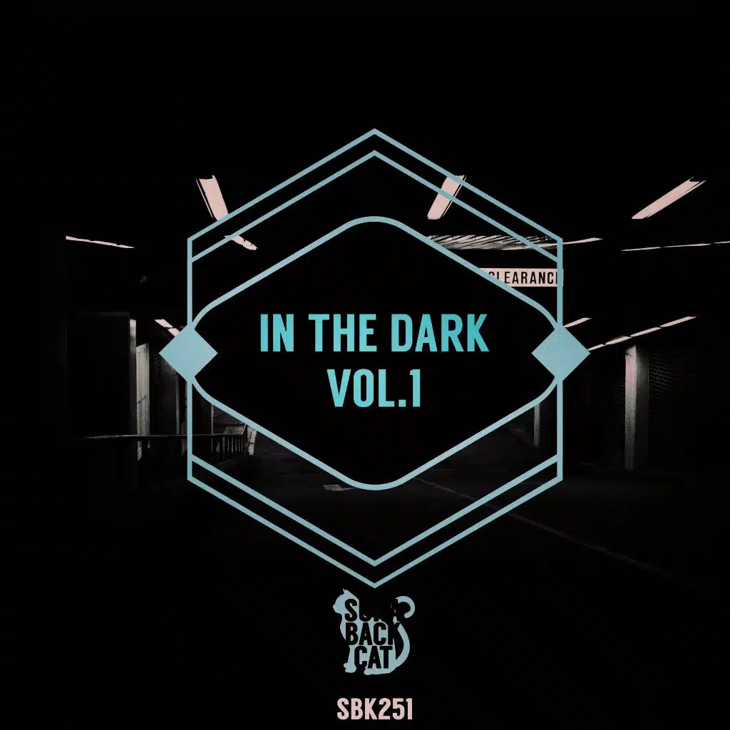 In the Dark, Vol. 1