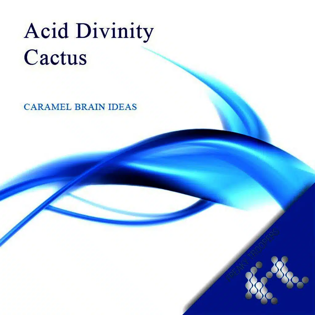Acid Divinity