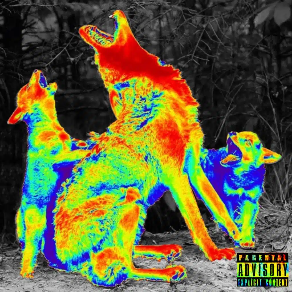Tha Jungle Litter 2