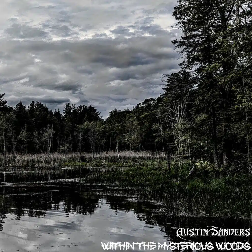 Within The Mysterious Woods