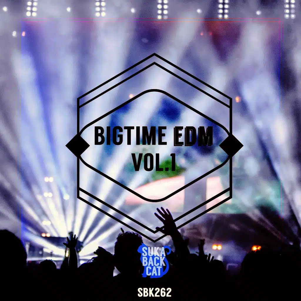 Bigtime EDM, Vol. 1