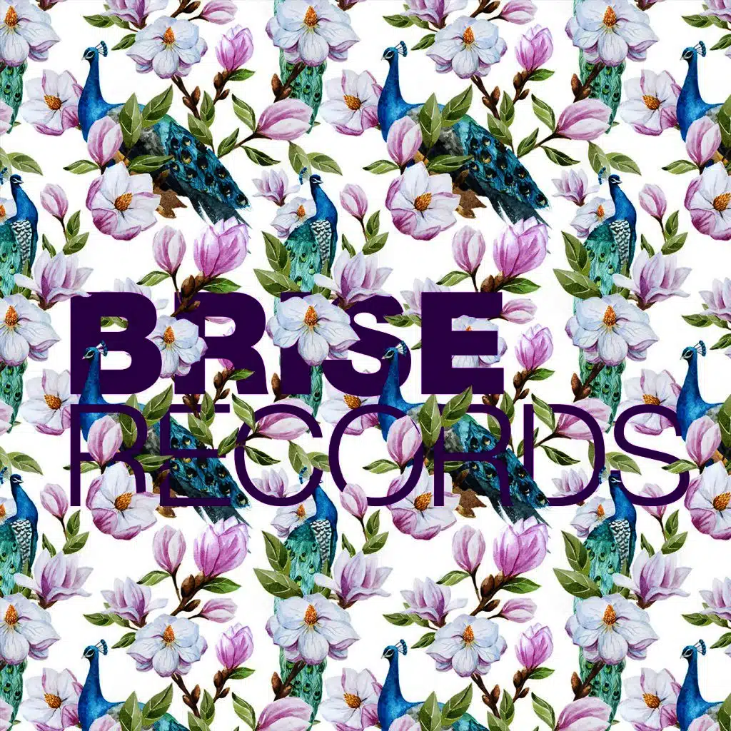 Dissident Ballet (Original Mix)