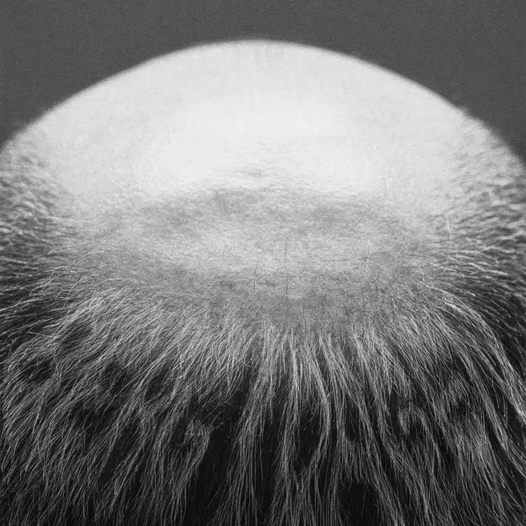 Vasas flora och fauna