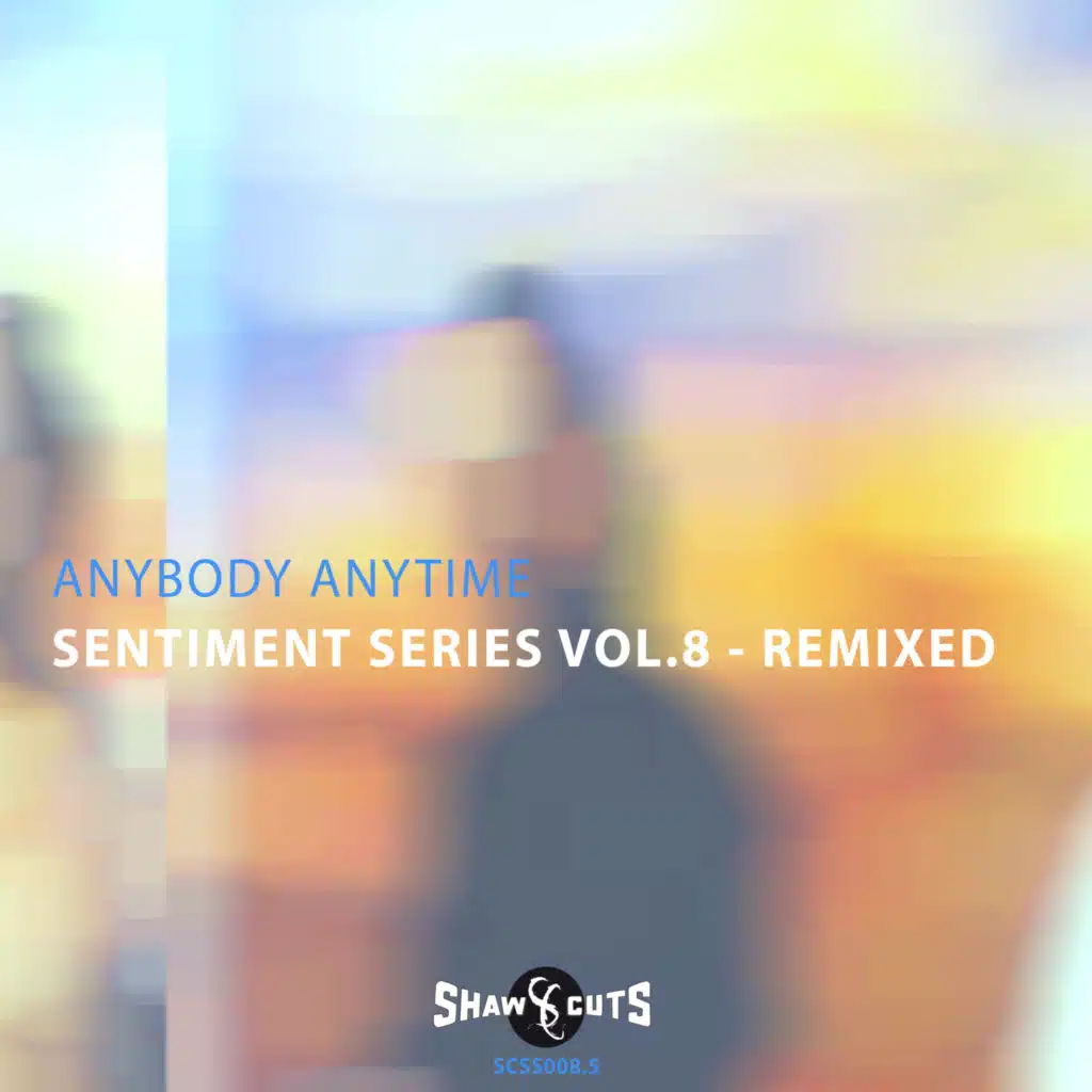Sentiment Series Vol.8 - Remixed