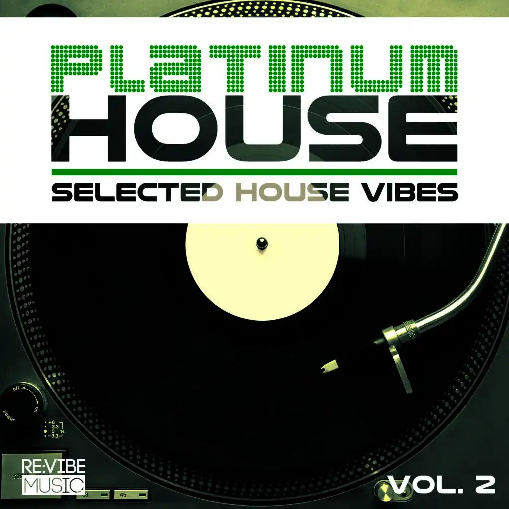 Platinum House Vol. 2 - Selected House Vibes
