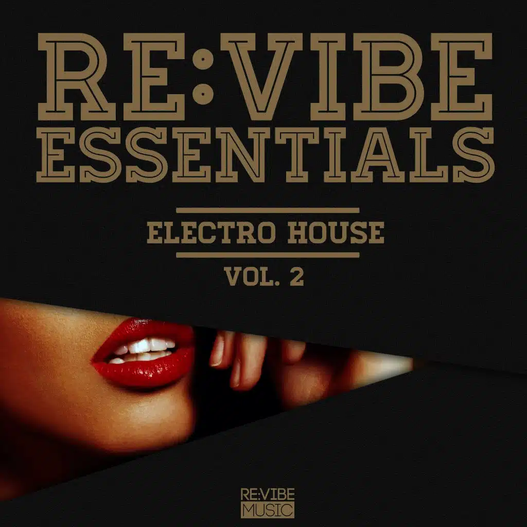 Re:Vibe Essentials - Electro House, Vol. 2