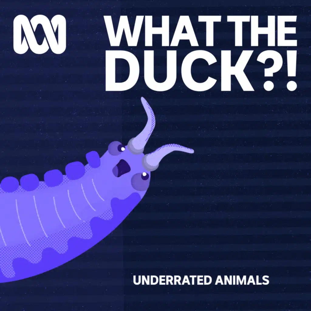 Underrated animals: Velvet worm