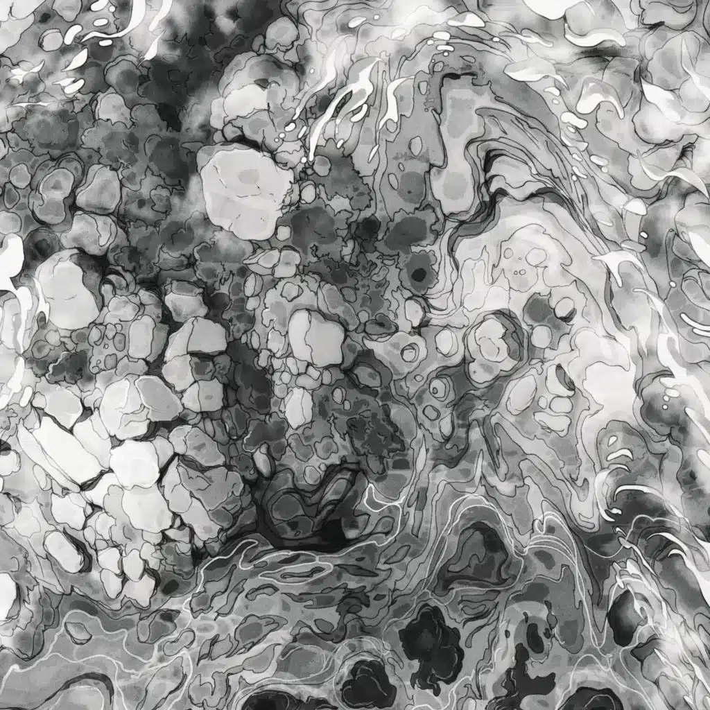 Aerial: White Noise Studies