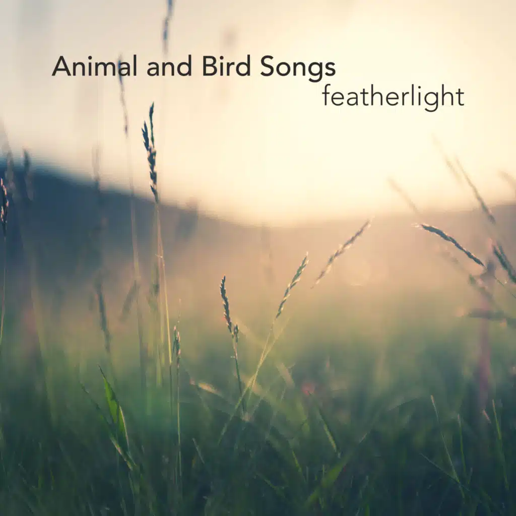 Animal and Bird Songs