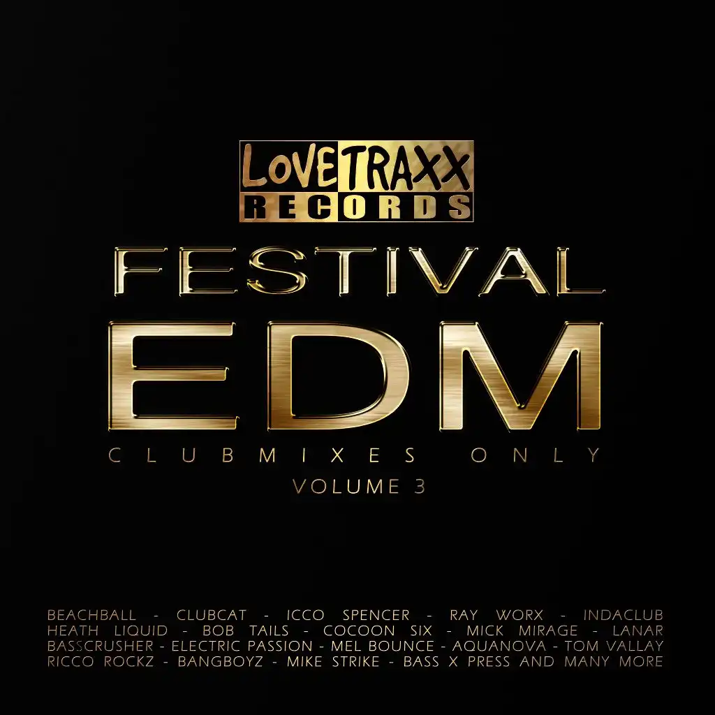 EDM Party (Clubmix)