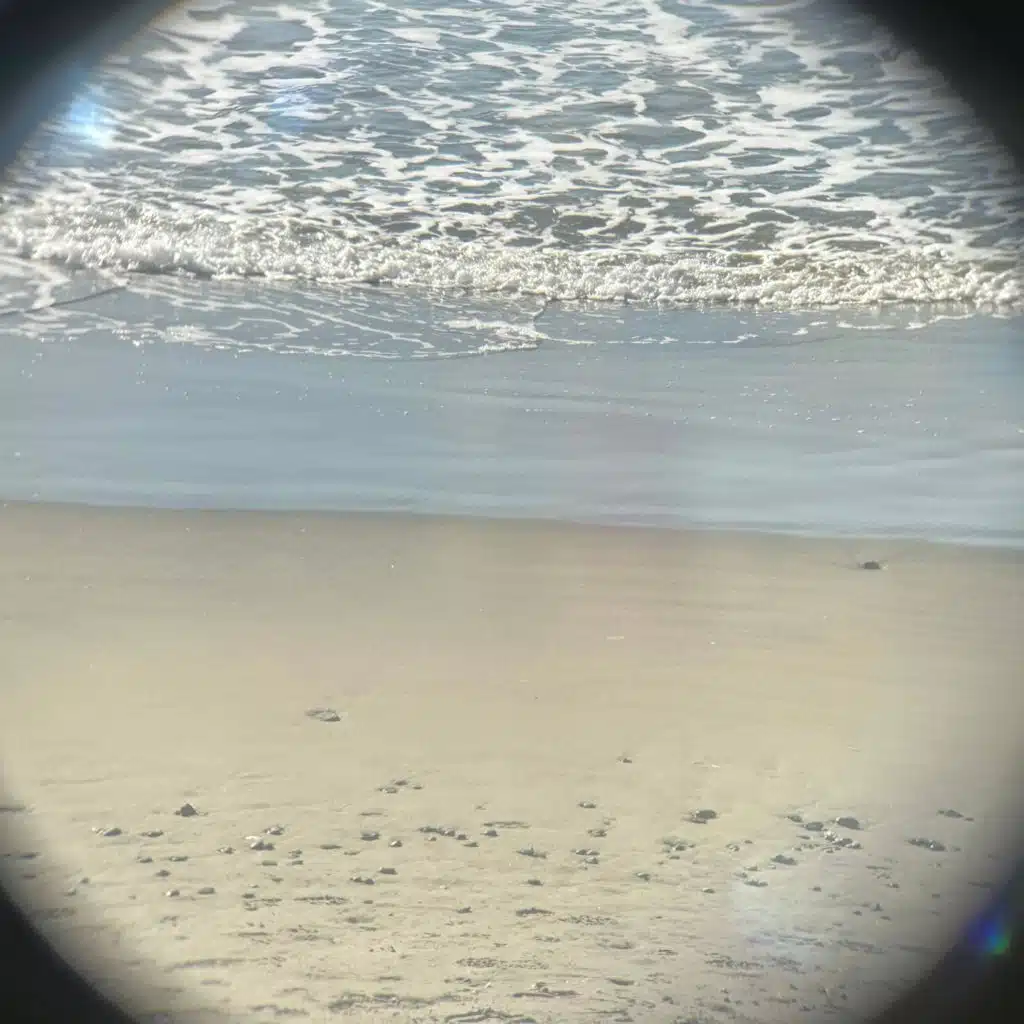 beach days (feat. Tyde Picolli)