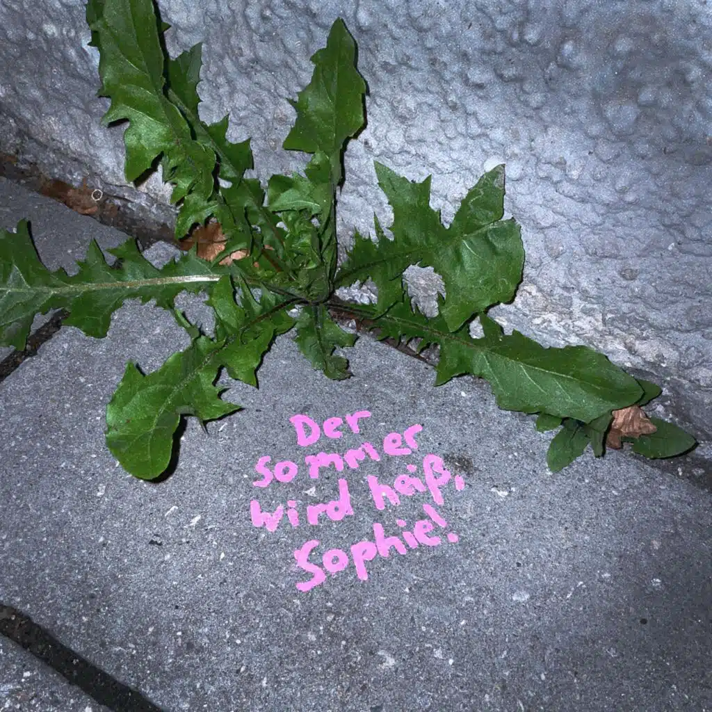 Der Sommer wird heiß, Sophie (96,8°F)