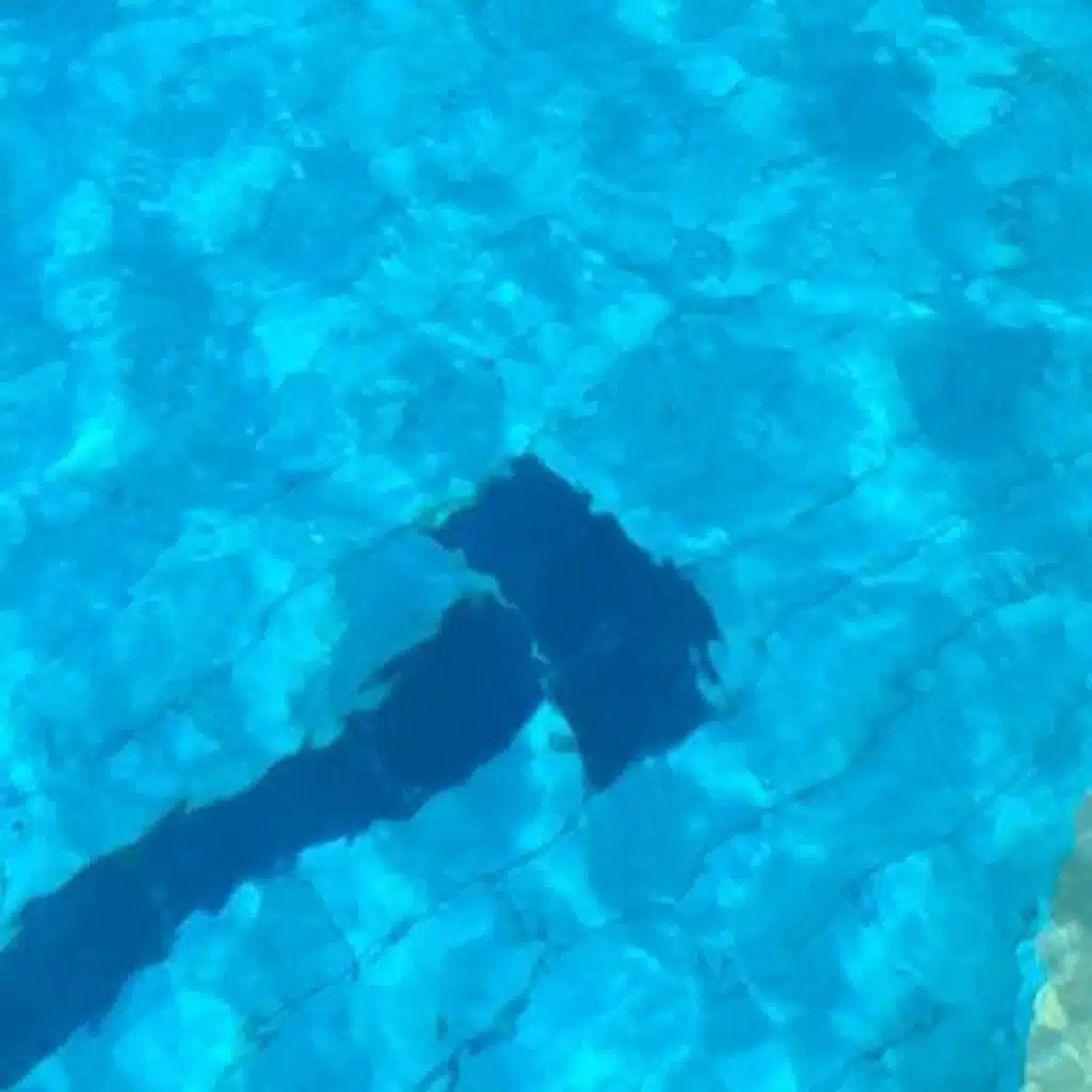 i found somthing in this playlist