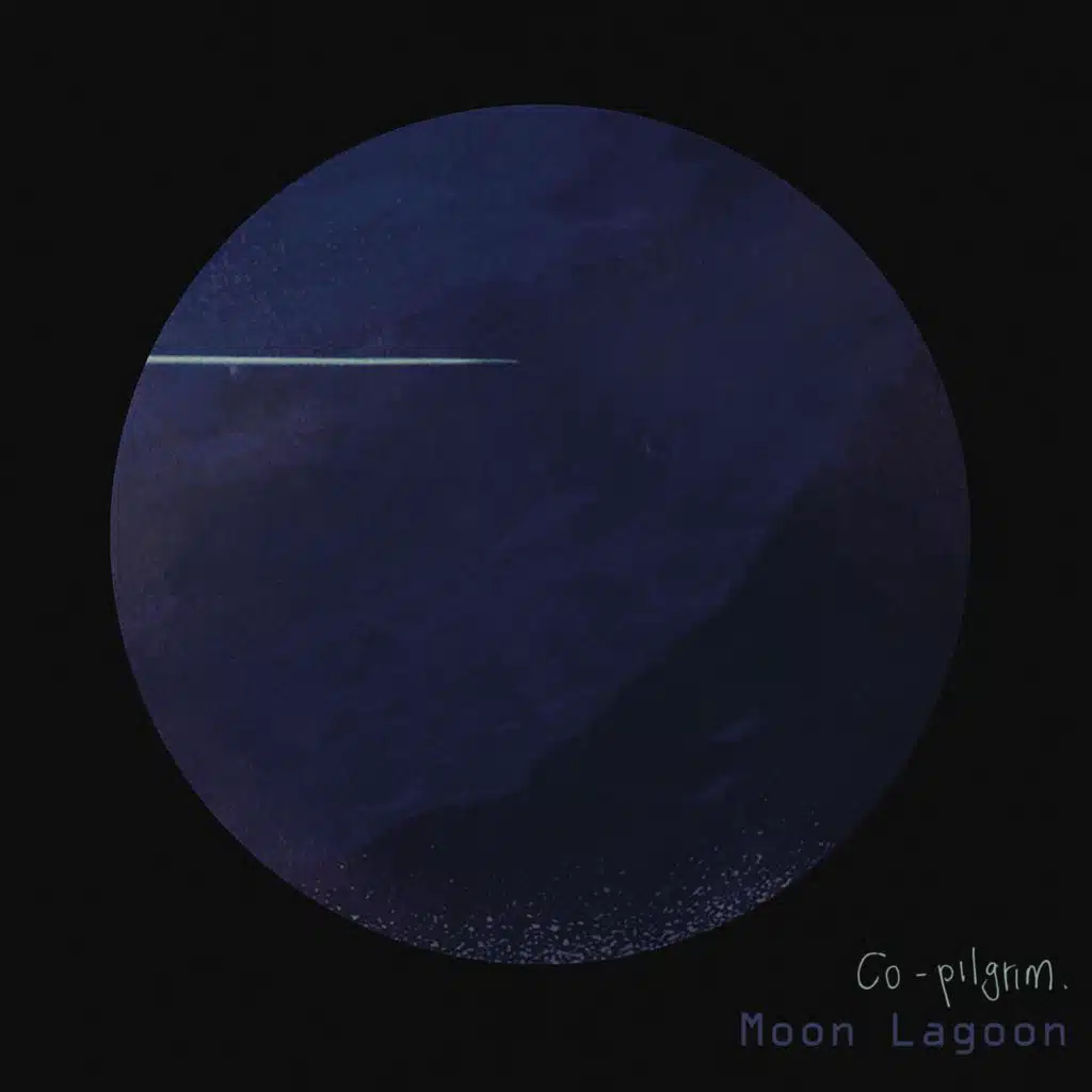 Co-pilgrim