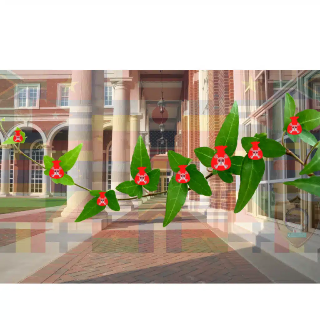 $3.8 Billion💰 for Ivy League🏛 Vaccine Mandates👩‍⚖️ (Back from Shadow-Ban!🥷)