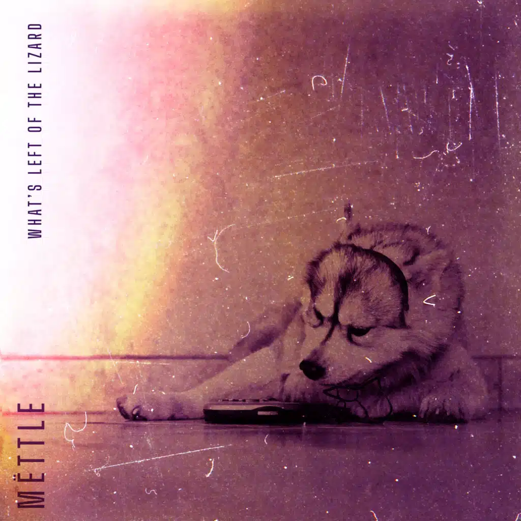 What's Left of the Lizard