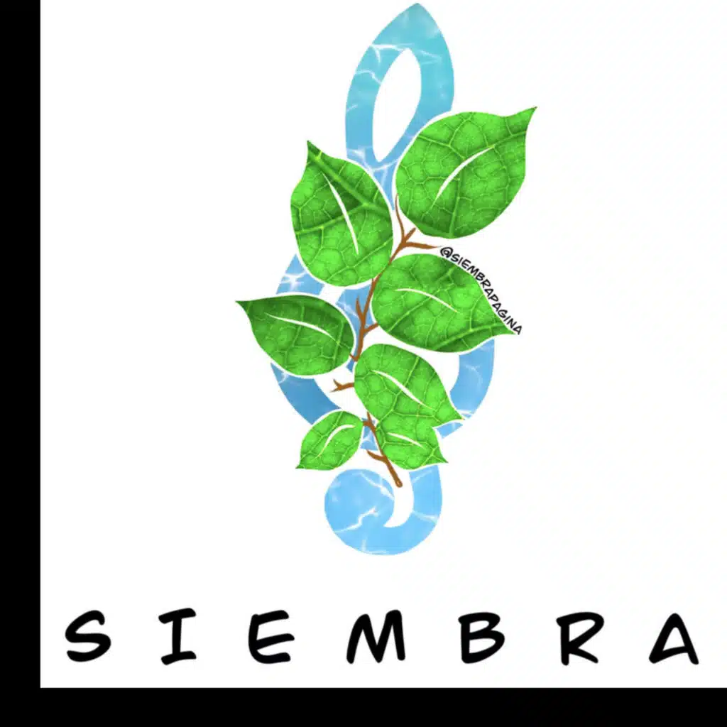 Siembra