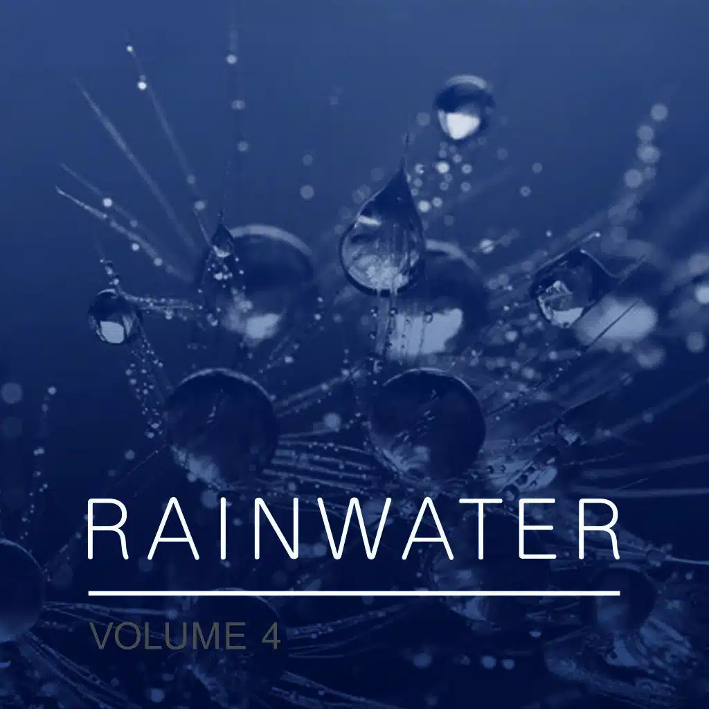 Rainwater, Vol. 4