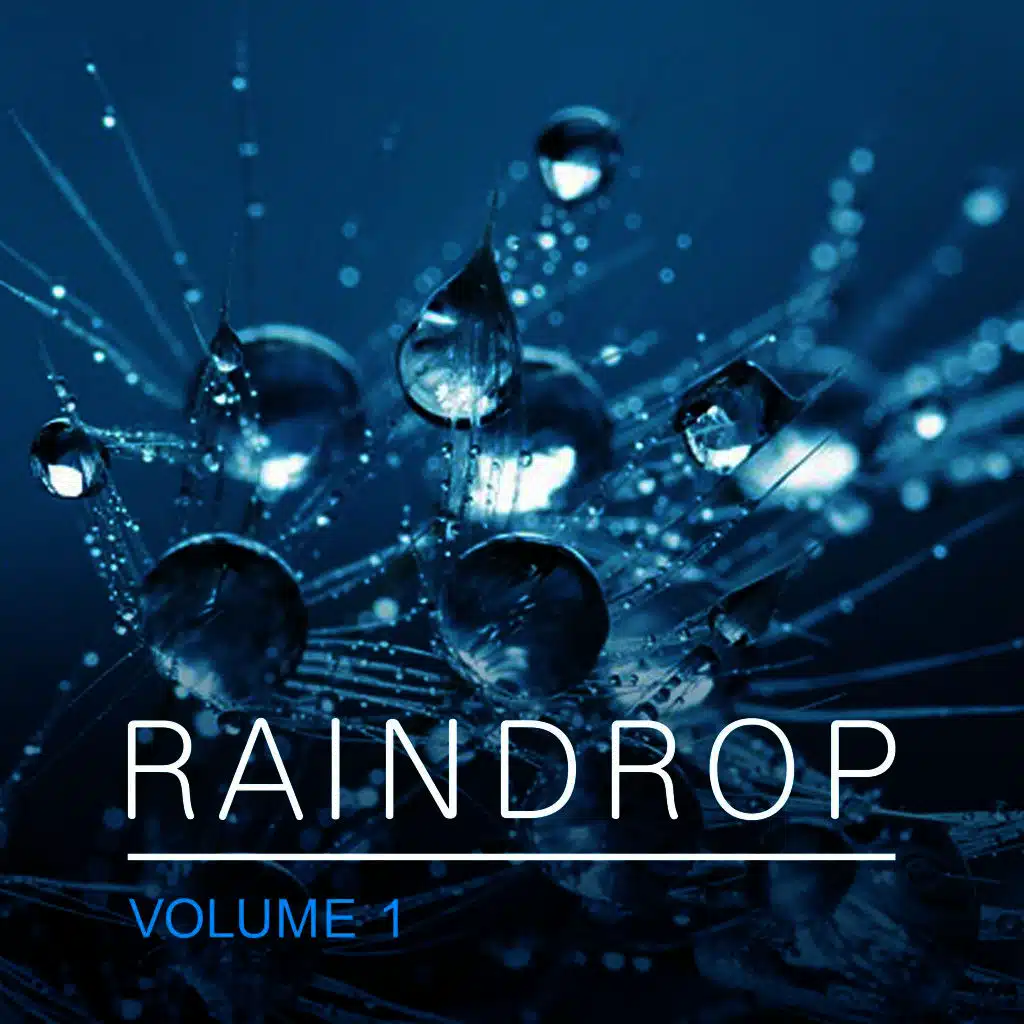 Raindrop, Vol. 1