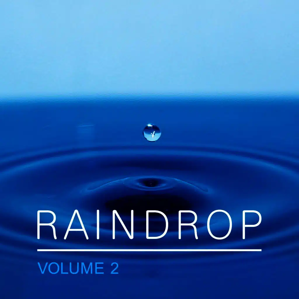 Raindrop, Vol. 2