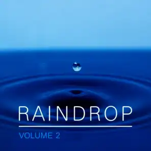 Raindrop, Vol. 2